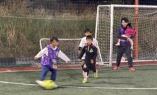 11/21㈮ レンタル オリエン様 お口あんぐり 11/21㈮ レンタル オリエン様 お口あんぐり