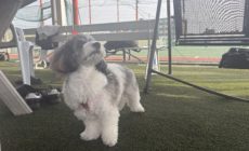 12/30火 レンタル 八代高校OB様 かわいいは正義! 12/30火 レンタル 八代高校OB様 かわいいは正義!